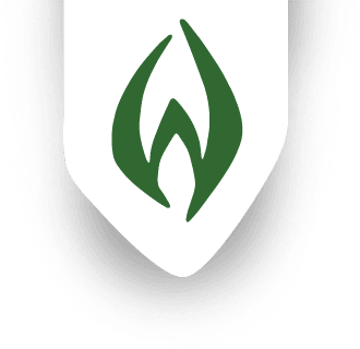 Logo Wonderland Festival
